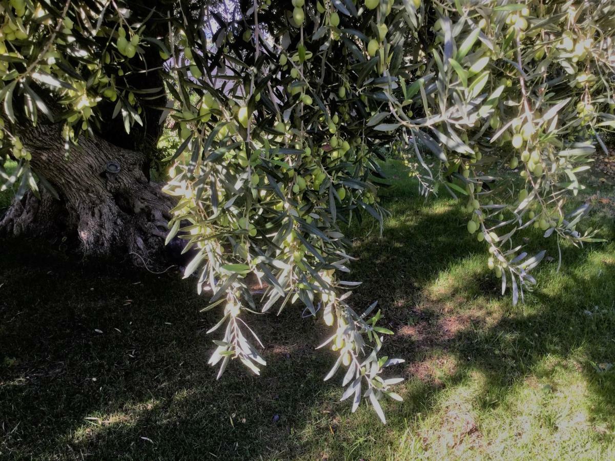 Il Dono Di Atena Cefalù Exteriör bild